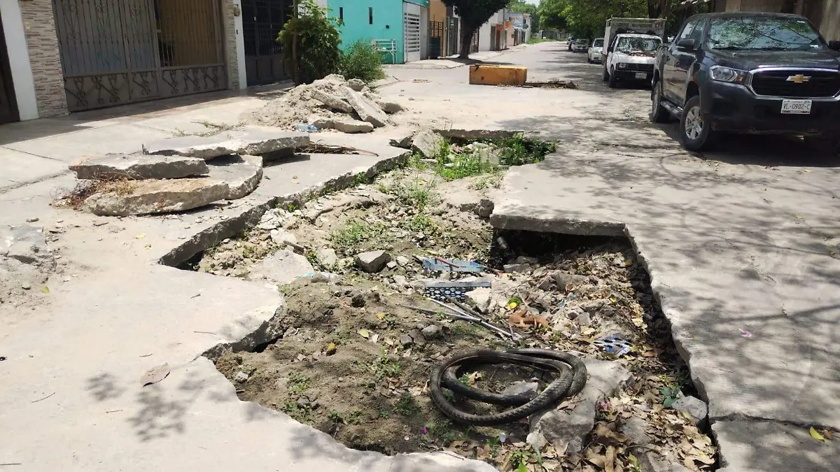 bache  cfg