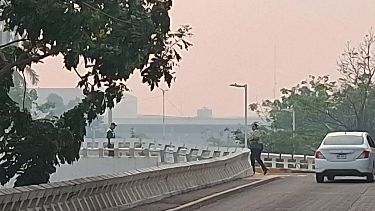 humo df