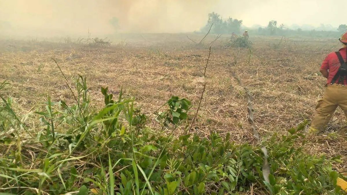 incendios df