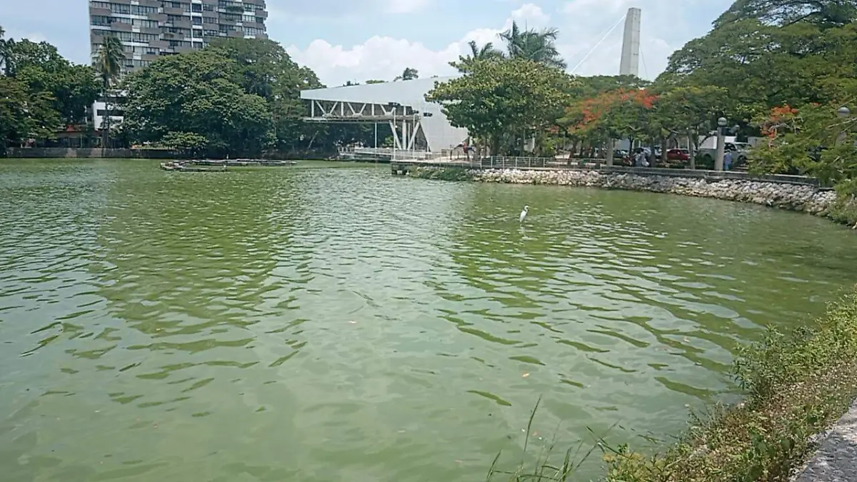 Agua-Verdosa-En-La-Laguna-De-Las-Ilsuiones-En-Villahermosa copia
