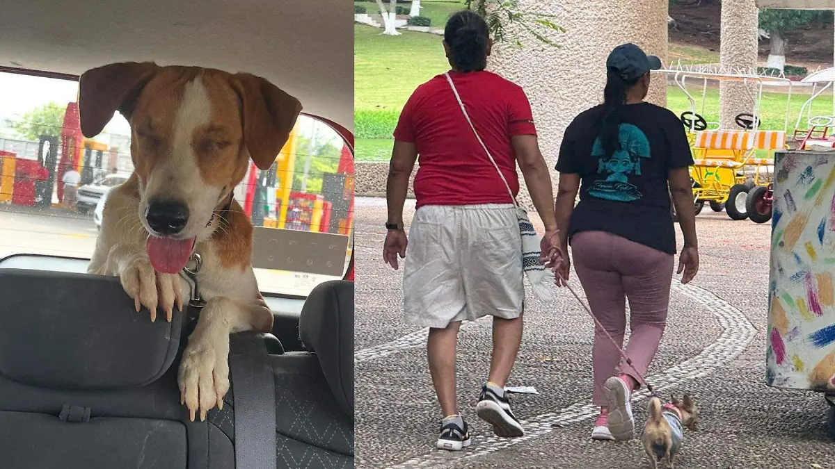 mAscothijos