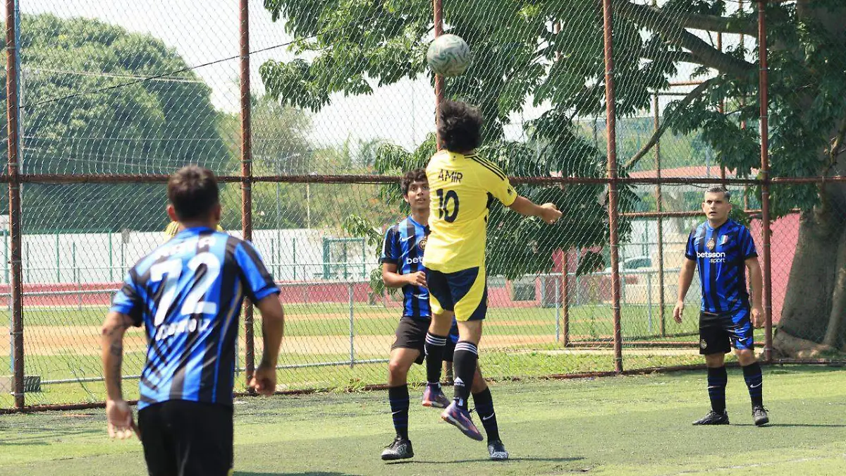 liga agosto