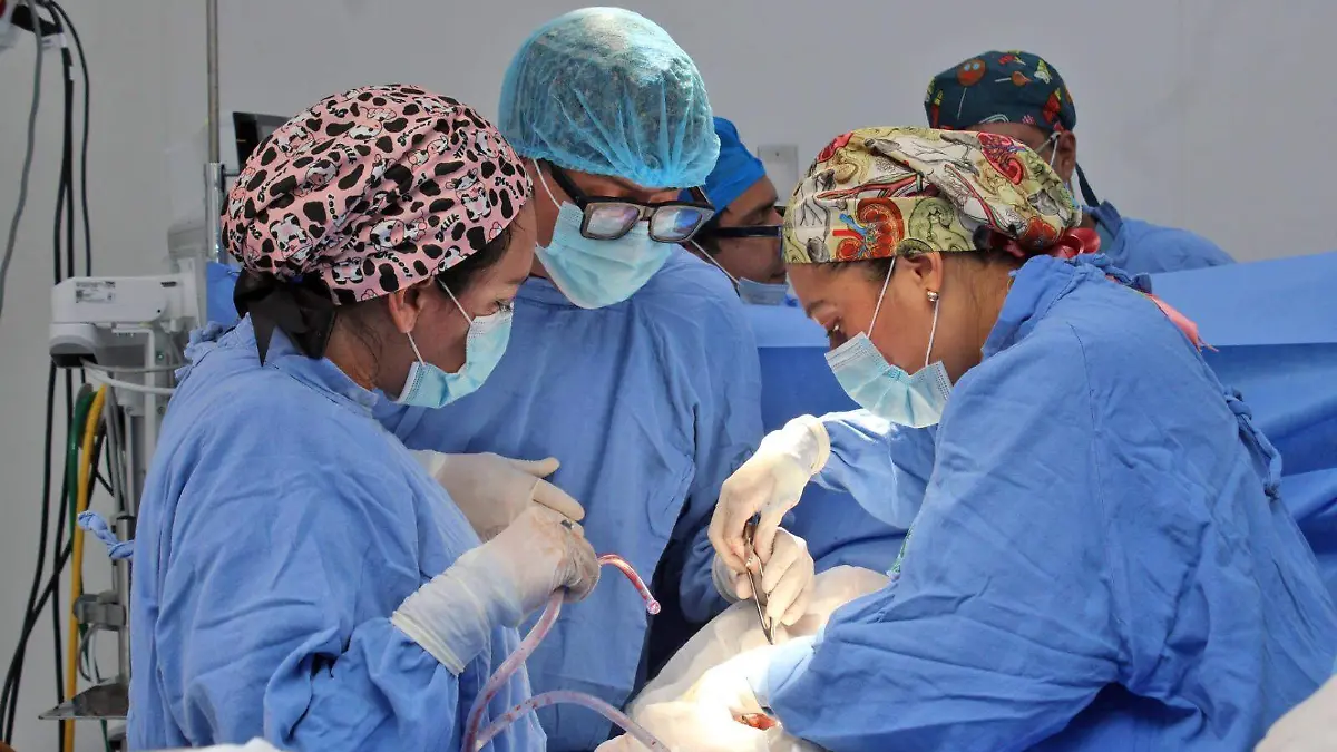 cirugia IMSS