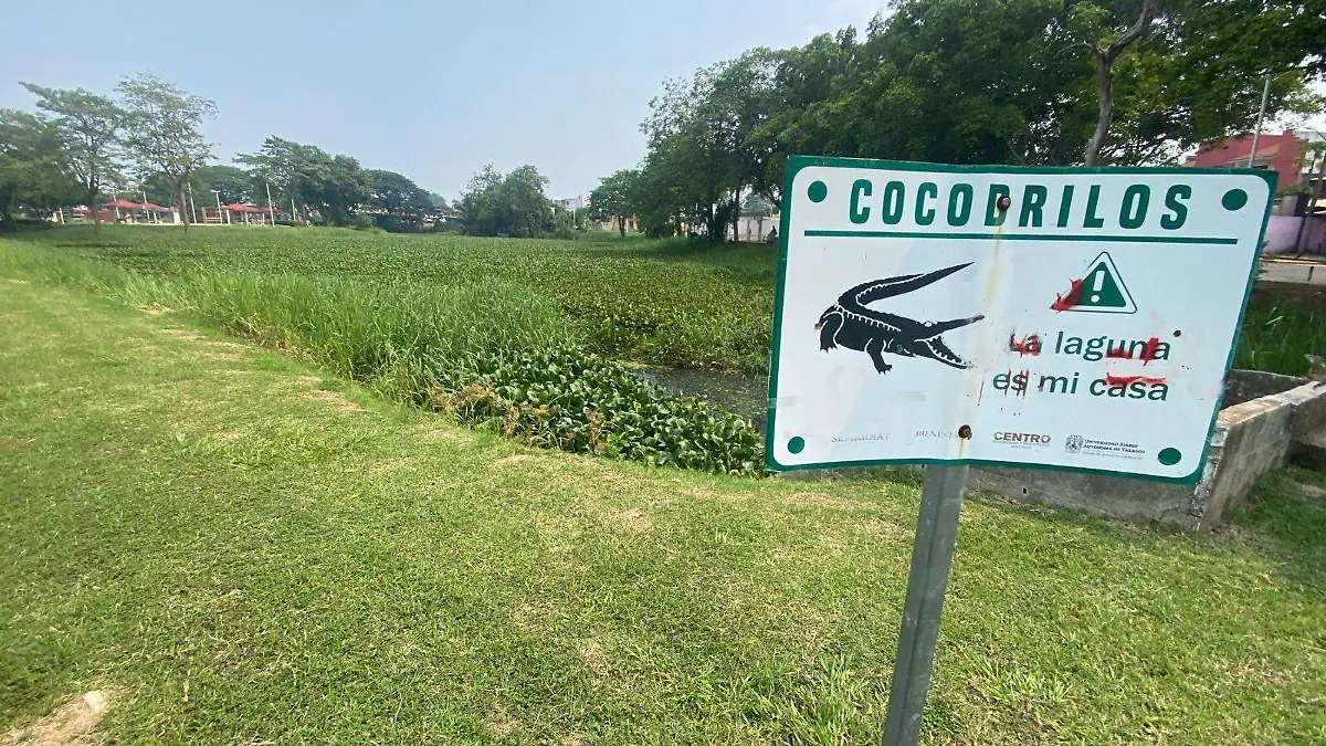 señales cocodrilos v