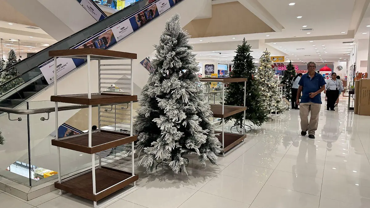 navidad