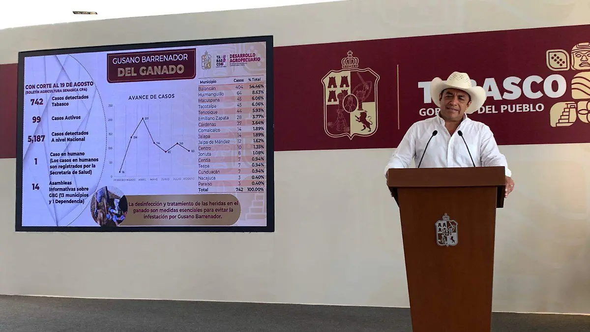 gusano barrenador tabasco