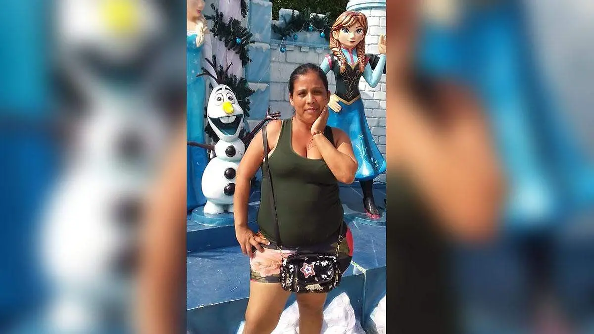desaparecida cover