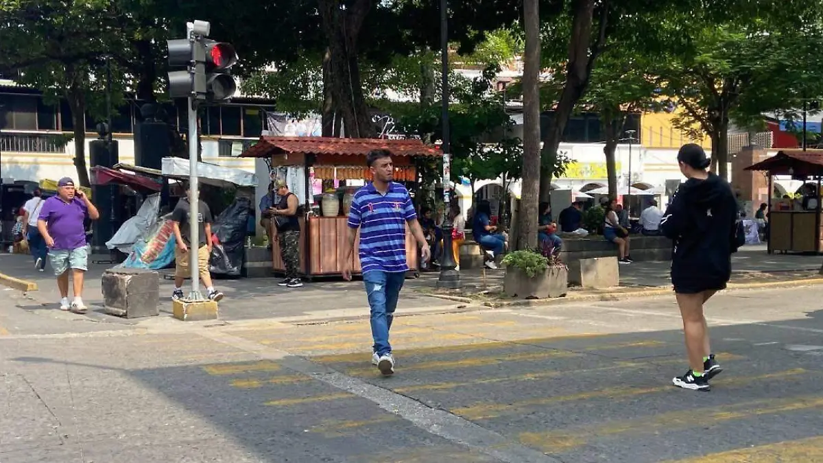 Persona-Cruzando-Por-El-Parque-Juárez