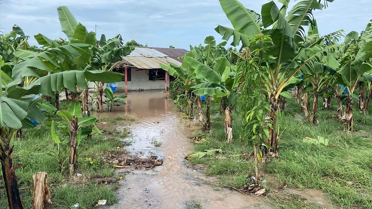 WhatsApp Image 2025-11-11 at 1.33.53 PM (1)