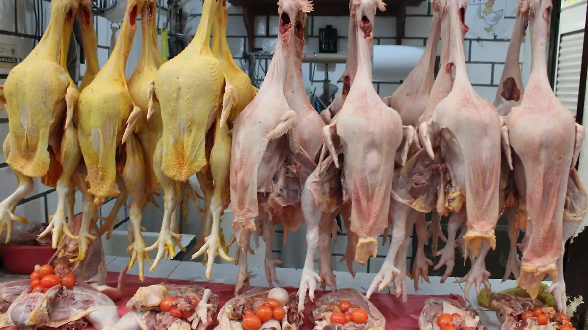 WhatsApp Image 2025-11-14 at 1.30.55 PM