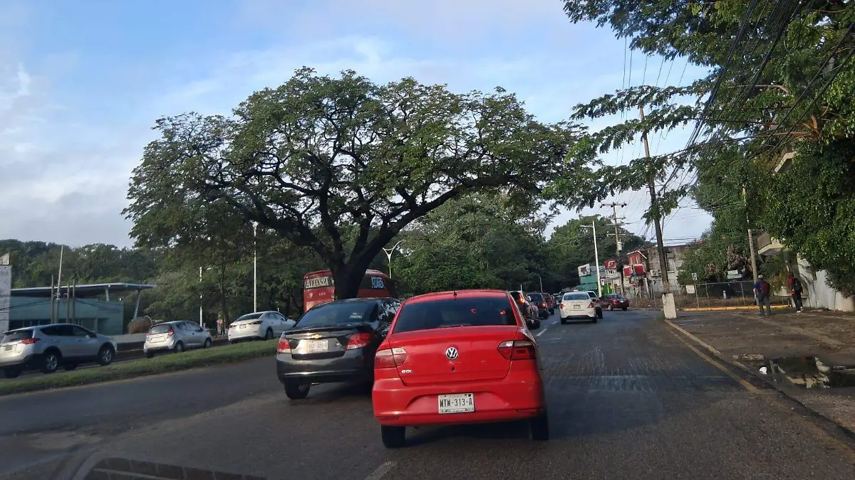 cc0f2830-67b3-4a90-b046-edb4fad3d793