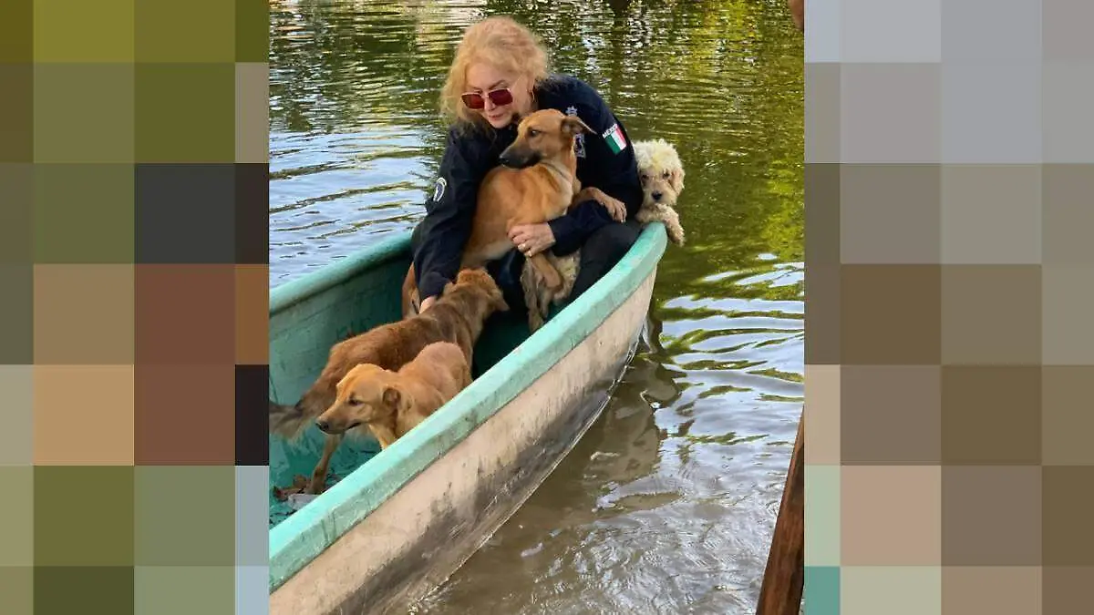 Gilda-Ruiz-De-Caninos