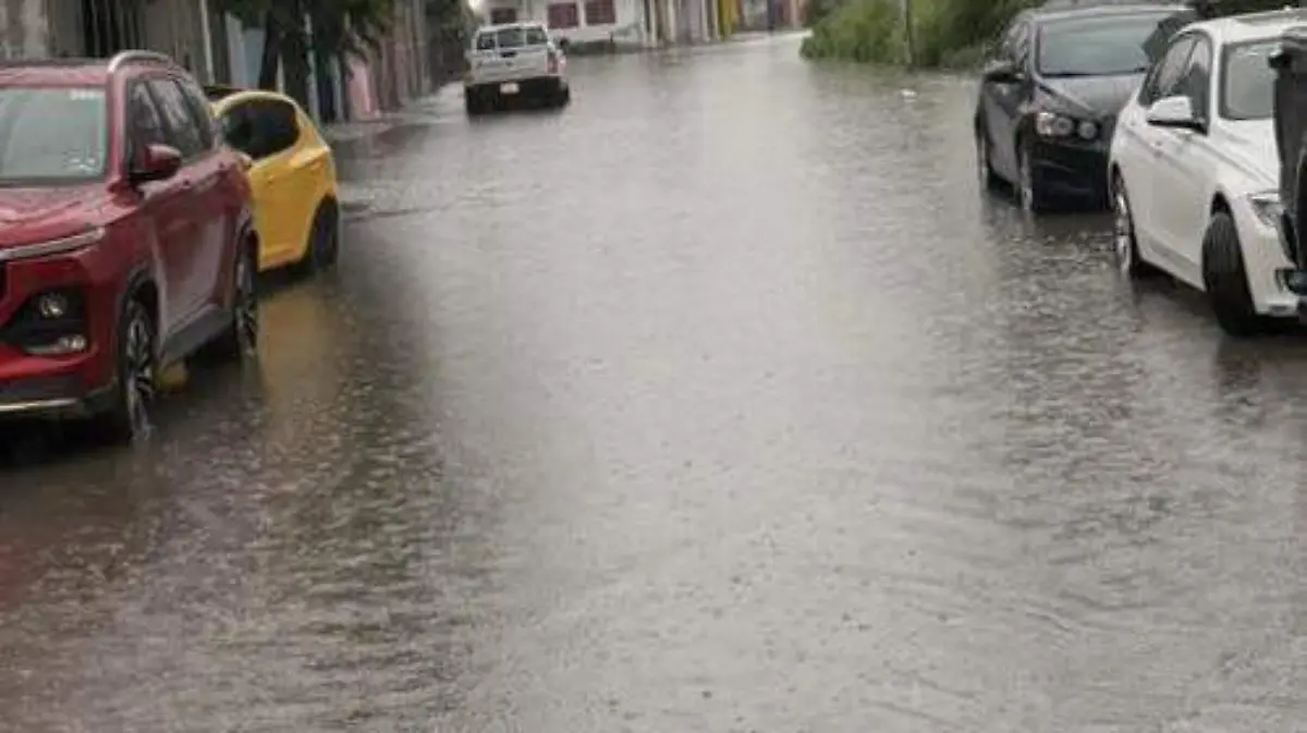 605739267_876325751561961_8554587222153189743_n