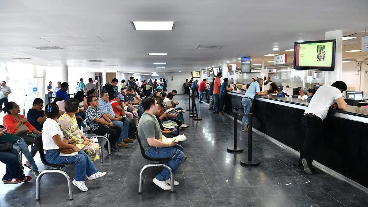 WhatsApp Image 2025-12-29 at 6.17.22 PM