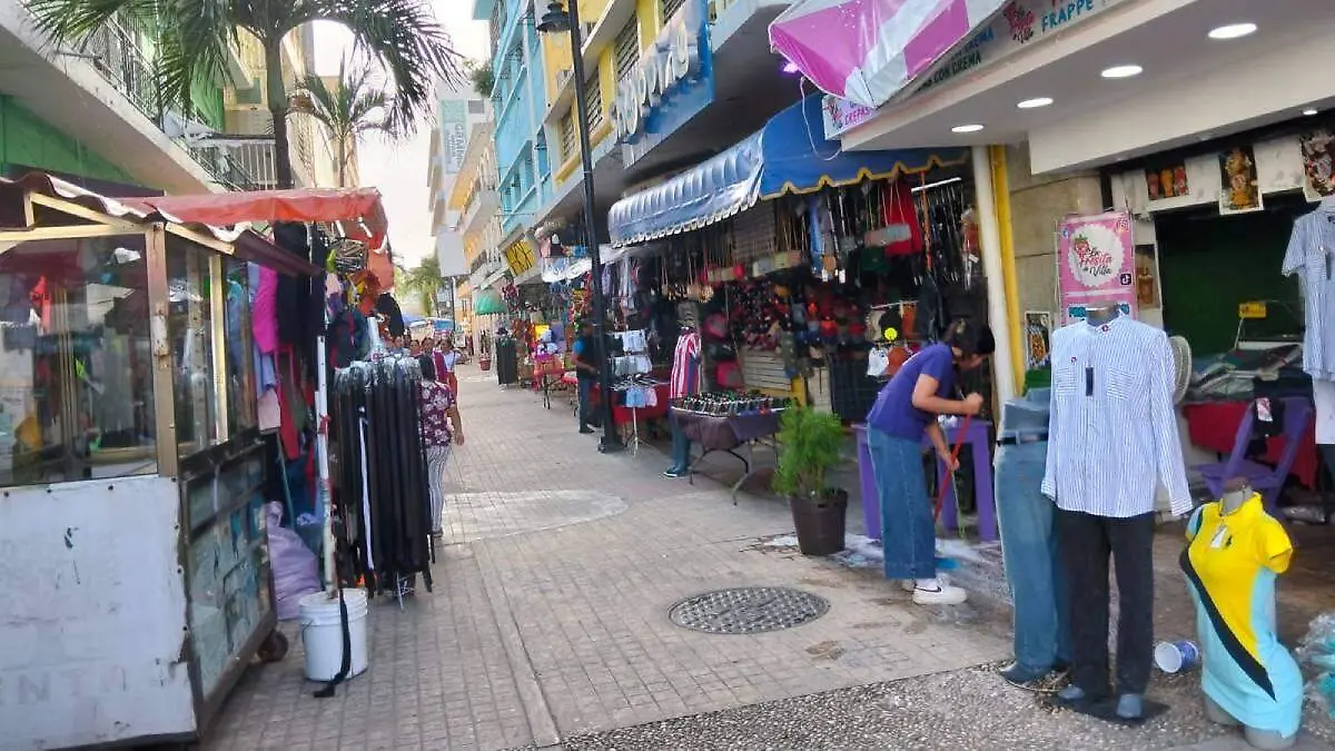 Zona-Luz-A-Principios-De-Año