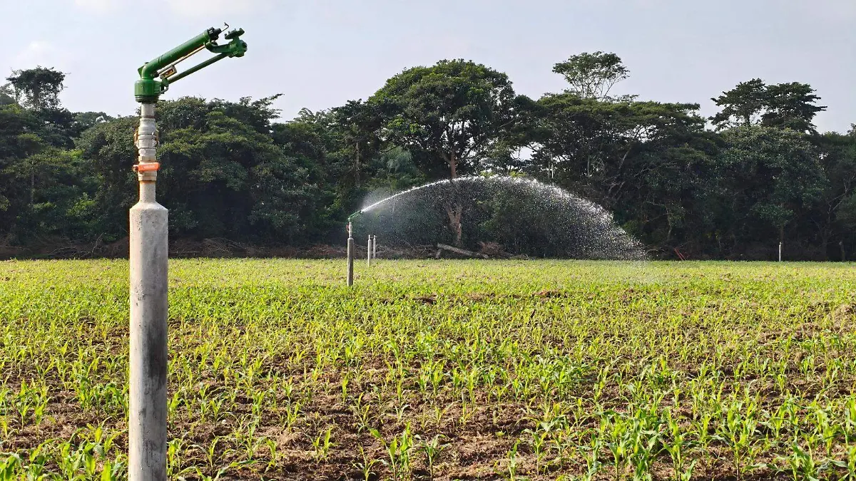 sistema de riego gob