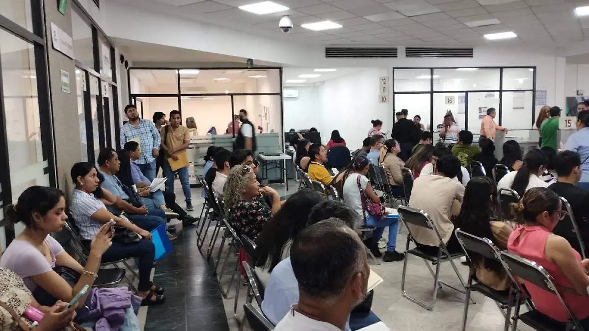 Contribuyentes-Del-SAT-En-Espera