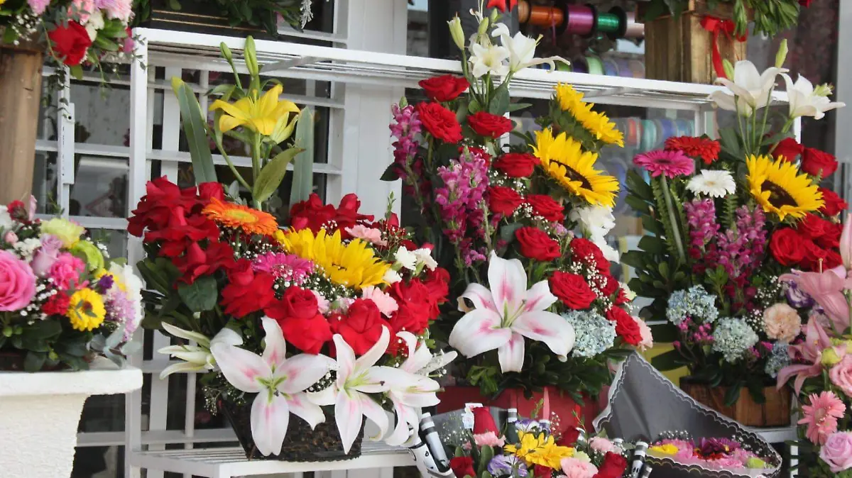 flores ramos de flores capu dsdff