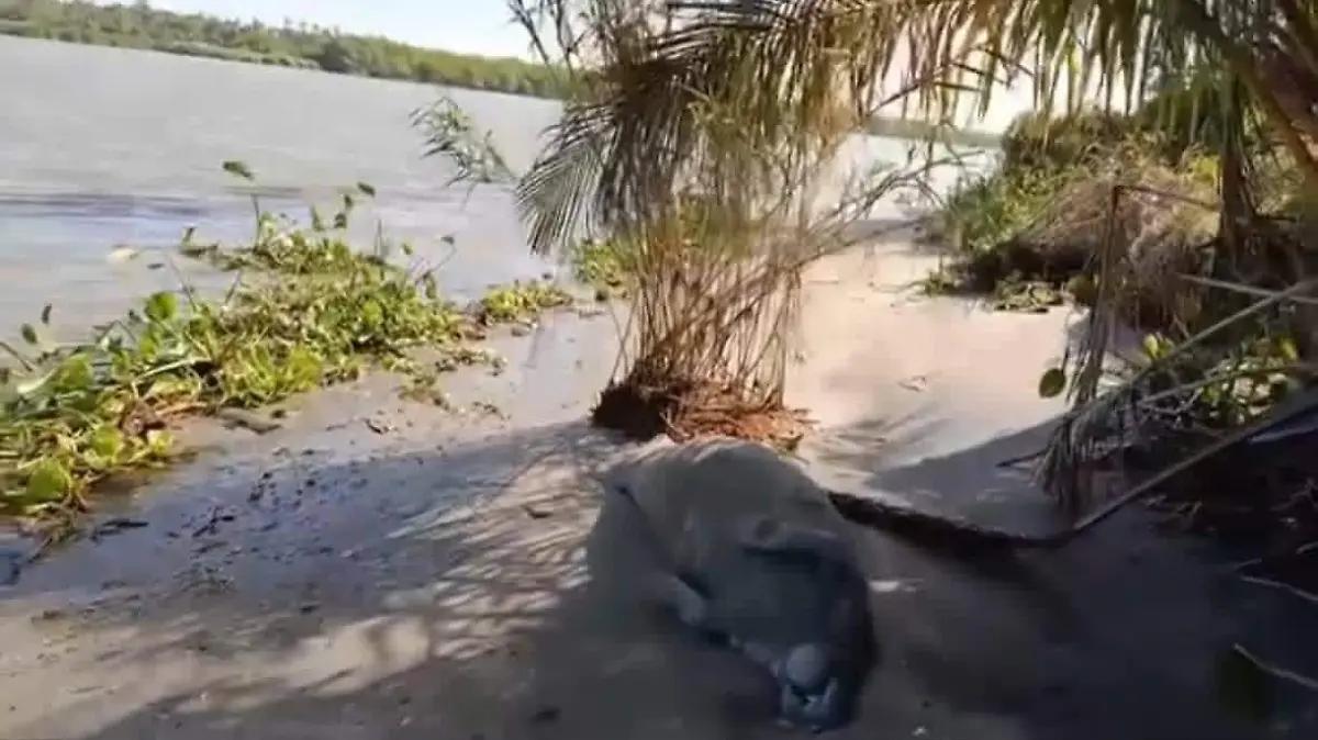 619263487_1362059582622719_607624727953153261_n