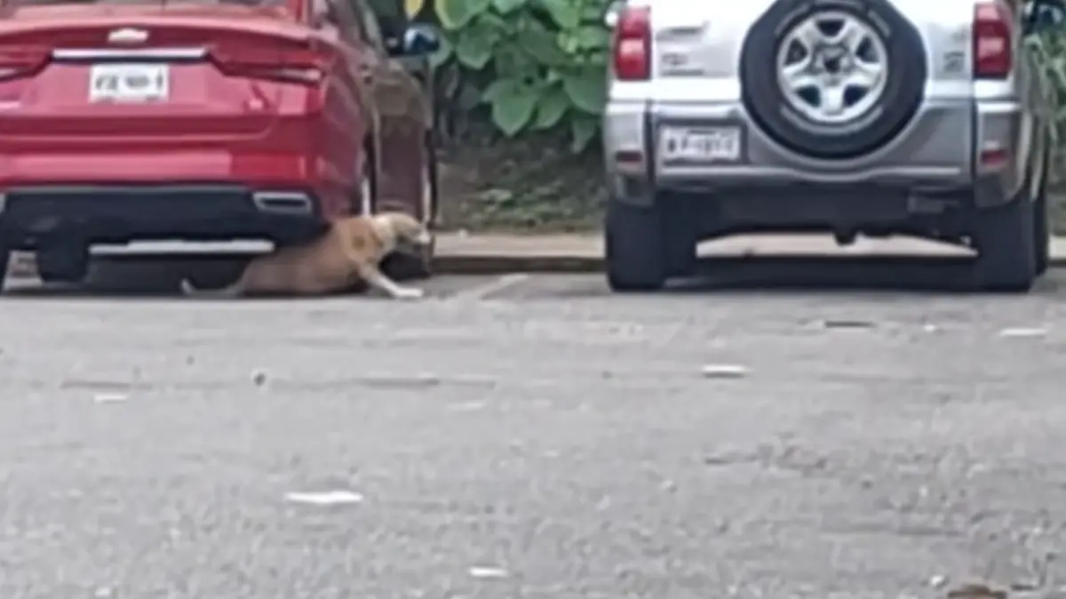 Captura de pantalla 2026-01-23 a la(s) 19.01.10