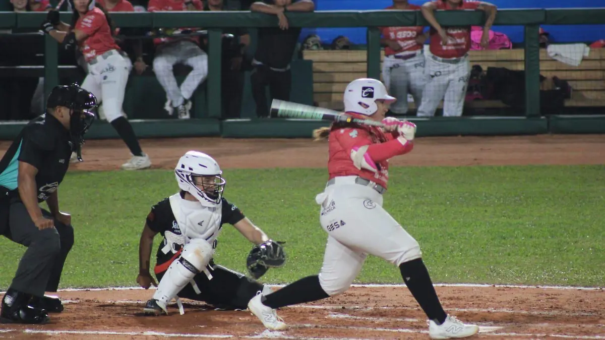 WhatsApp Image 2026-01-29 at 8.01.03 PM (1)