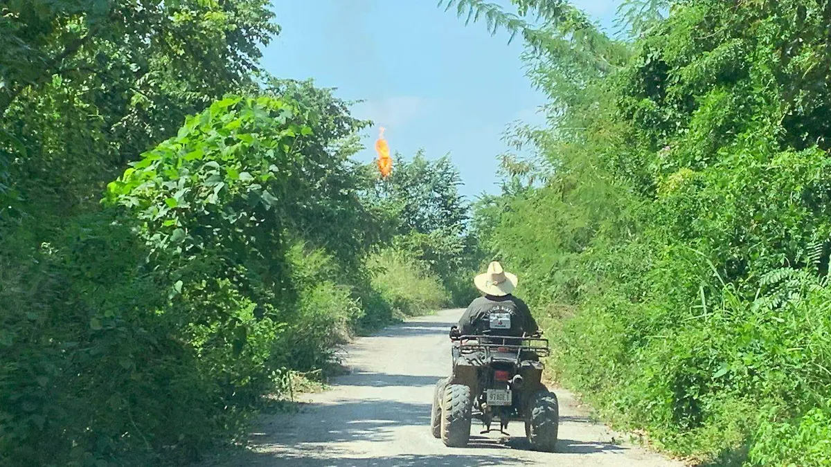 WhatsApp Image 2026-02-05 at 8.06.39 PM (1)