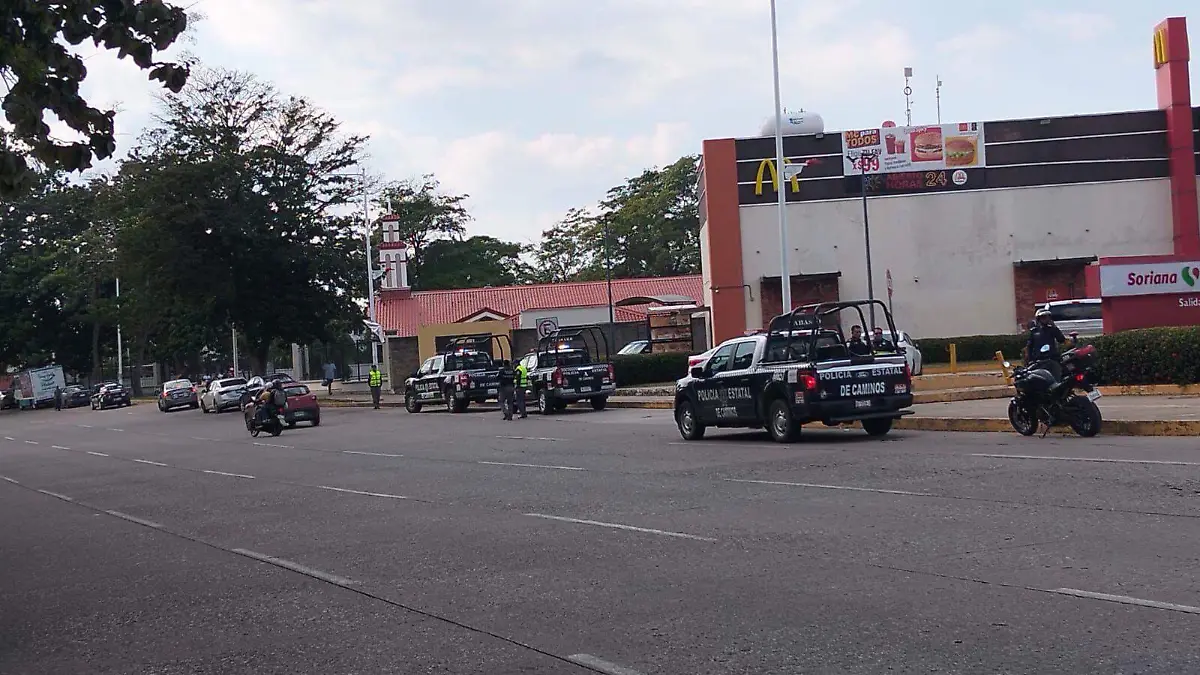 WhatsApp Image 2026-02-07 at 16.55.44