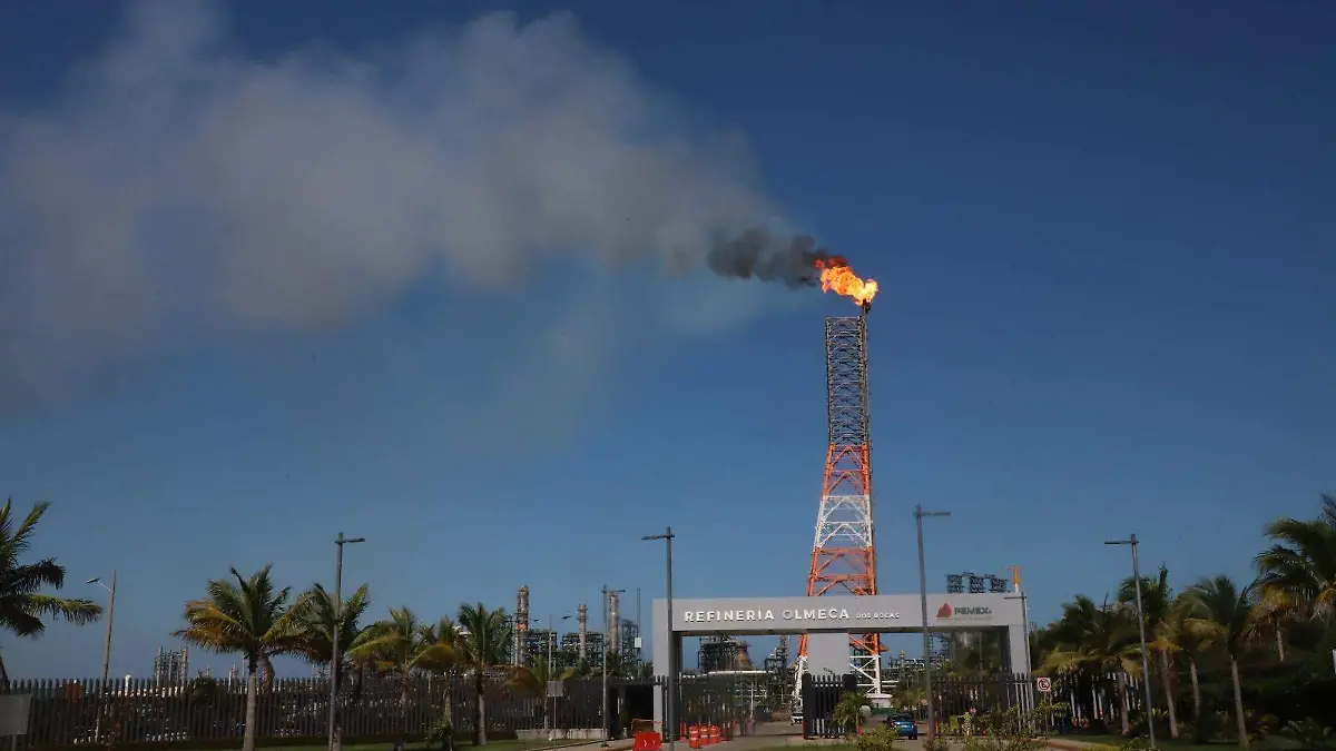 WhatsApp Image 2026-02-08 at 7.09.54 PM