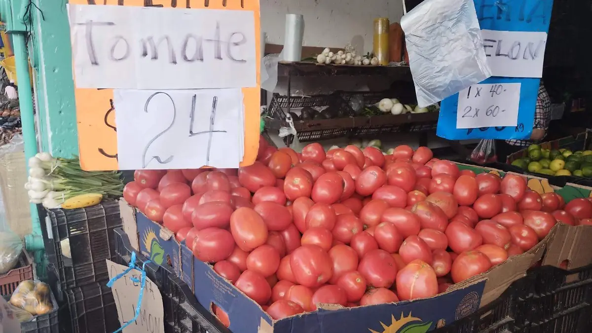 tomate febrero 2026