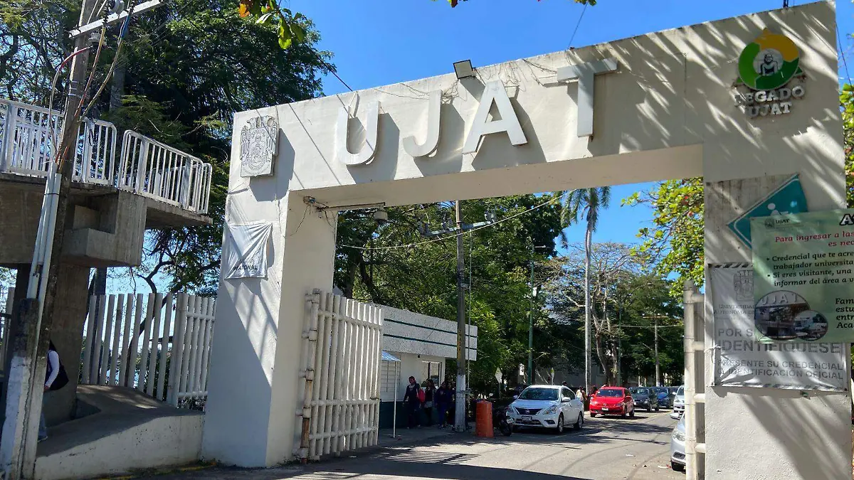 WhatsApp Image 2026-02-11 at 11.01.20 AM