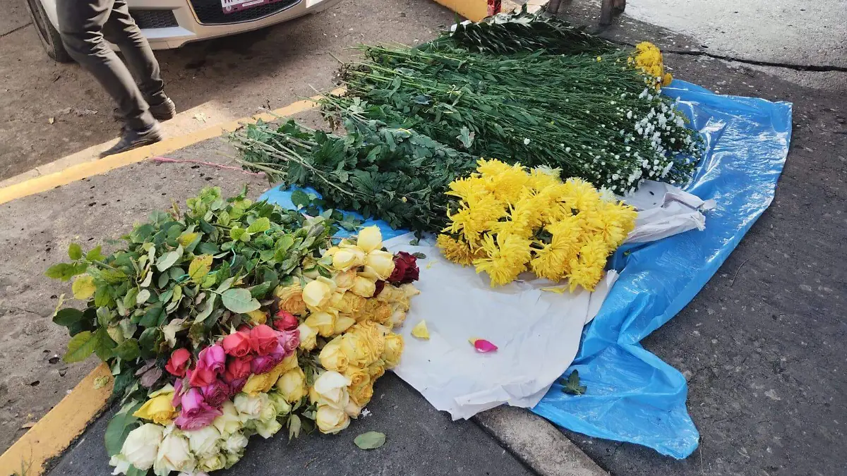 WhatsApp Image 2026-02-12 at 10.35.43 AM