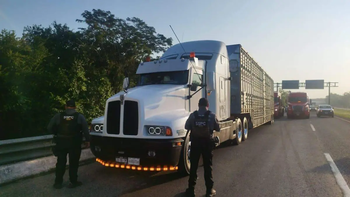 5cbe800c-6b74-439a-9bfb-49e6d308692c