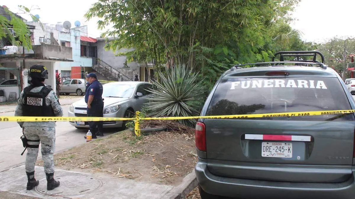 WhatsApp Image 2026-02-13 at 11.17.05