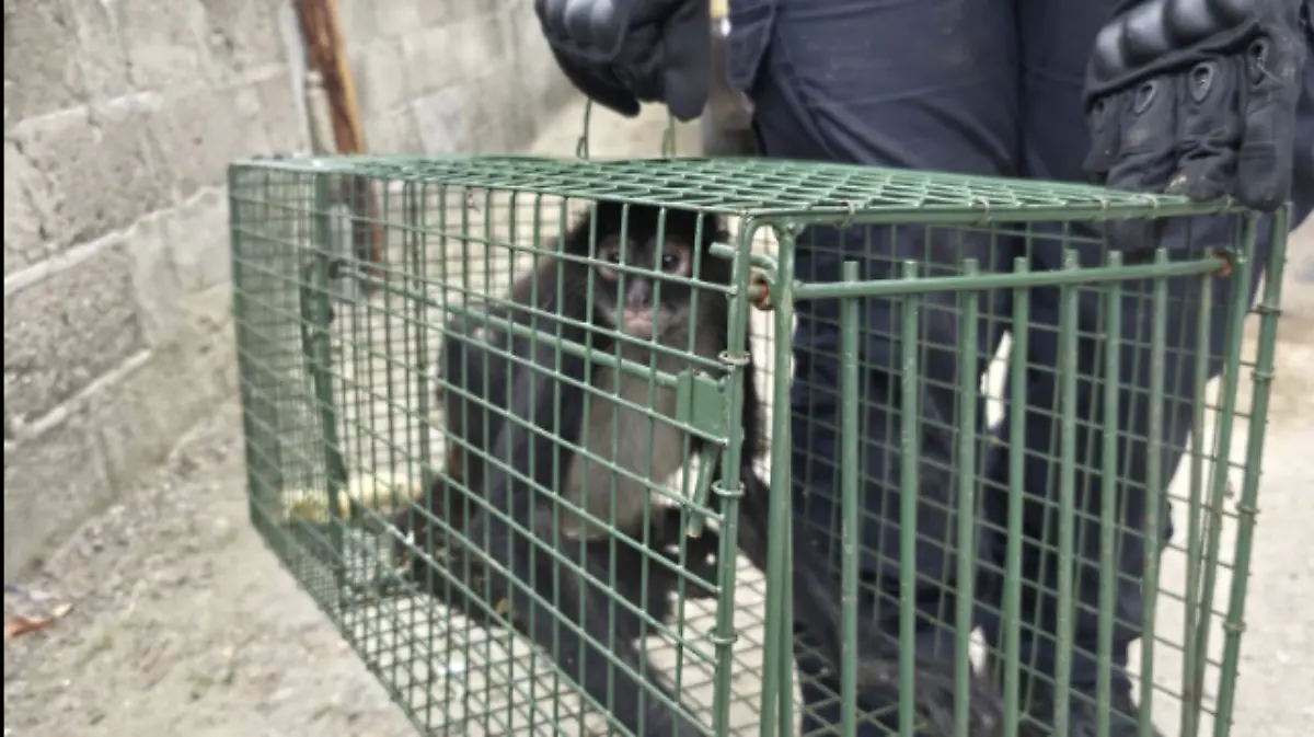 Captura de pantalla 2026-02-17 a la(s) 21.02.44