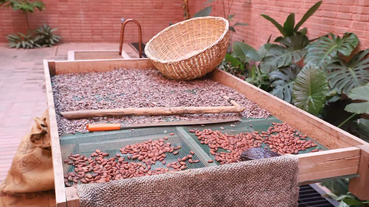 d8a3a33a-fa89-4ef1-9adc-6ec084b2d5ab