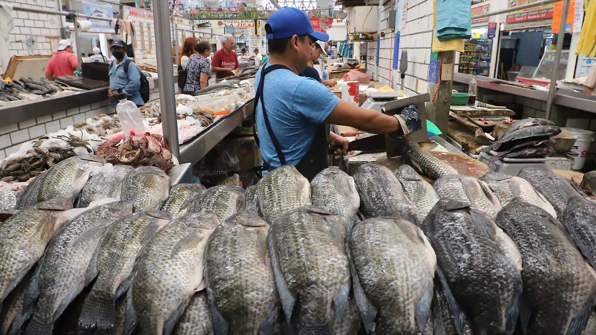 WhatsApp Image 2026-02-20 at 11.08.10 AM