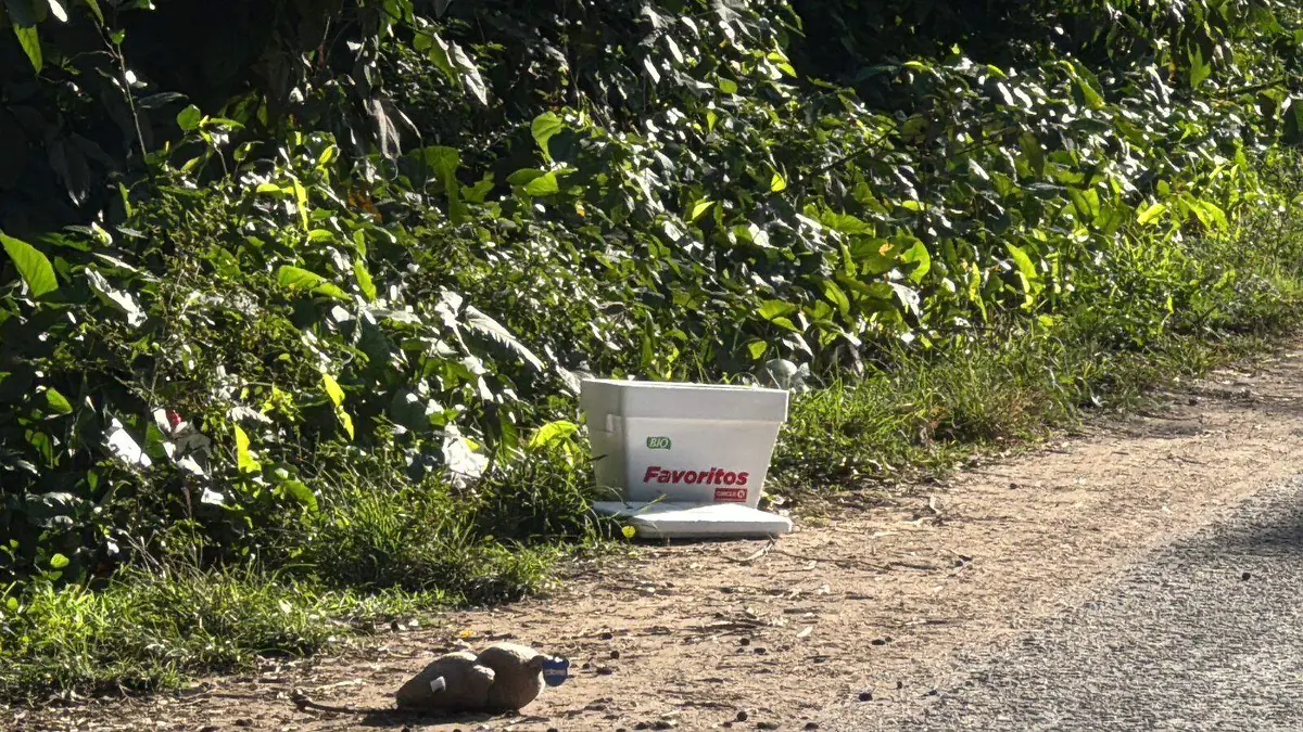 2c2cbe90-97c5-4d8d-9187-e15e38658f06