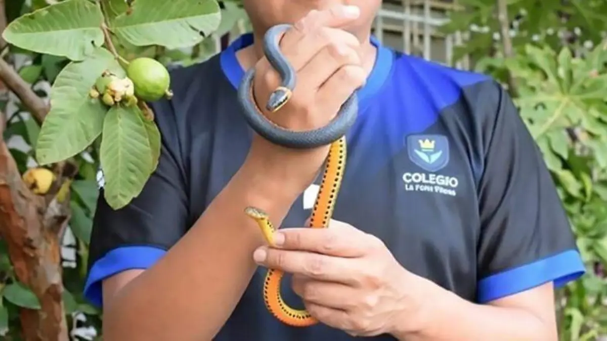 ciencia, animales, descubrimientos, reptiles