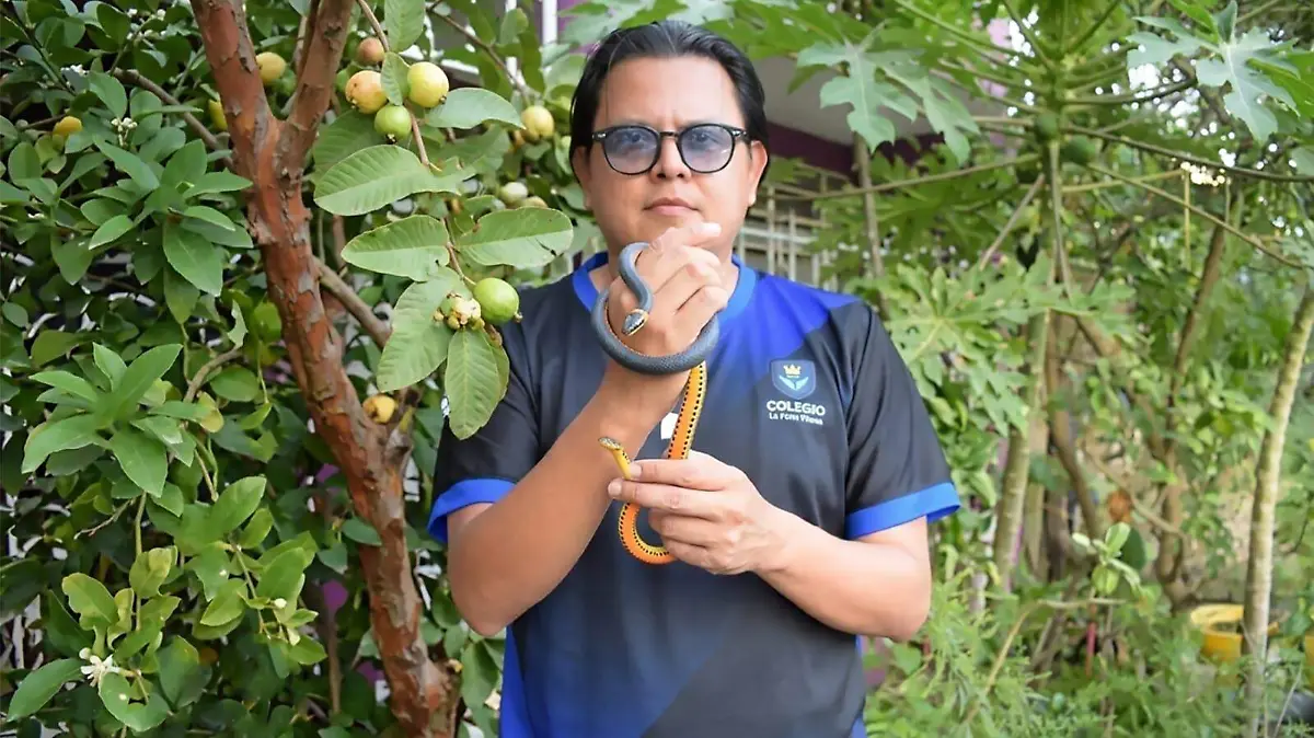 nuevas especies cover