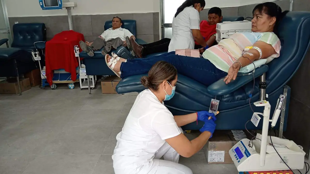 transfusion de sangre marco