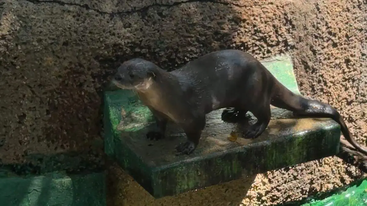 WhatsApp Image 2026-03-04 at 4.44.28 PM.jpeg