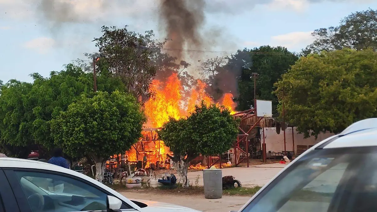 8bf939ea-b468-40df-8002-e39116562f50