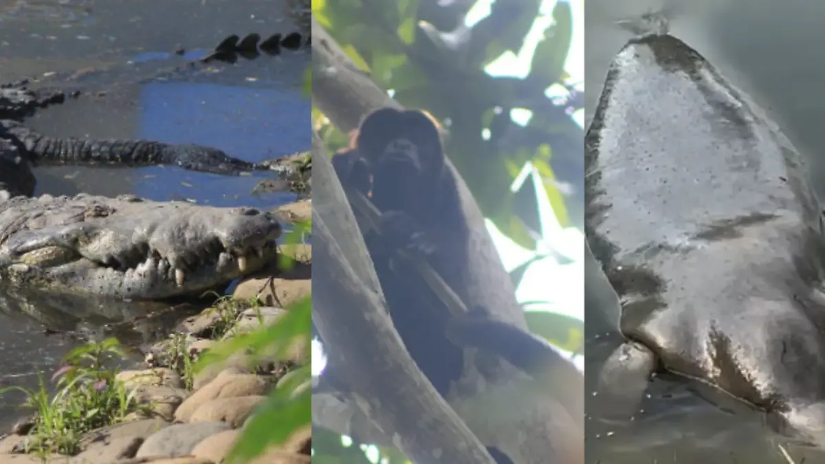 Captura de pantalla 2026-03-05 a la(s) 20.28.36