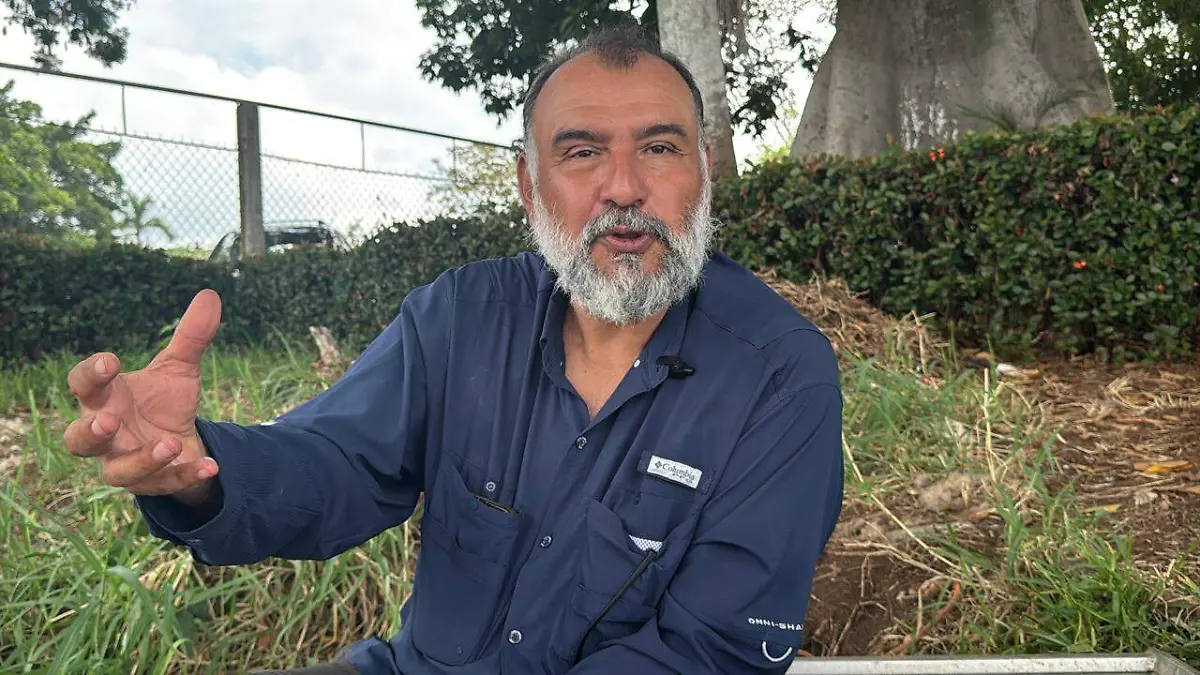 Delfín varado