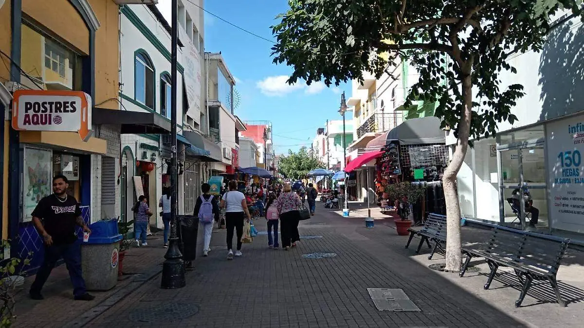 WhatsApp Image 2026-03-04 at 16.54.46