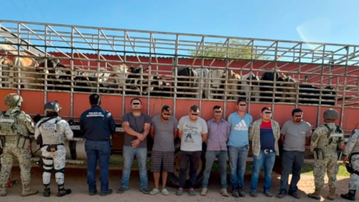 Captura de pantalla 2026-03-08 182458