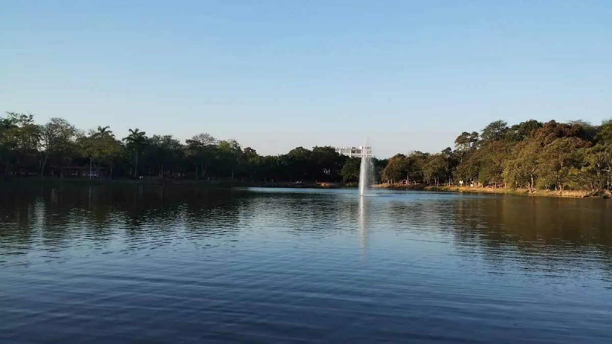 WhatsApp Image 2026-03-08 at 07.31.07