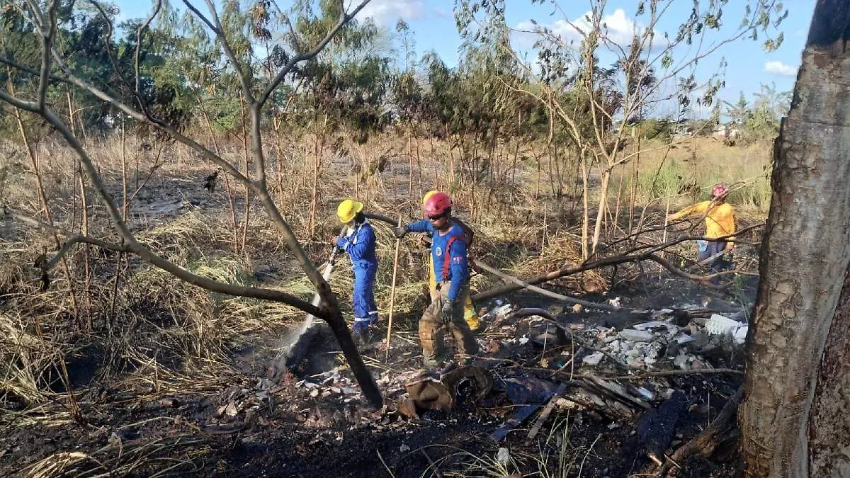 WhatsApp Image 2026-03-14 at 17.00.44 (1)