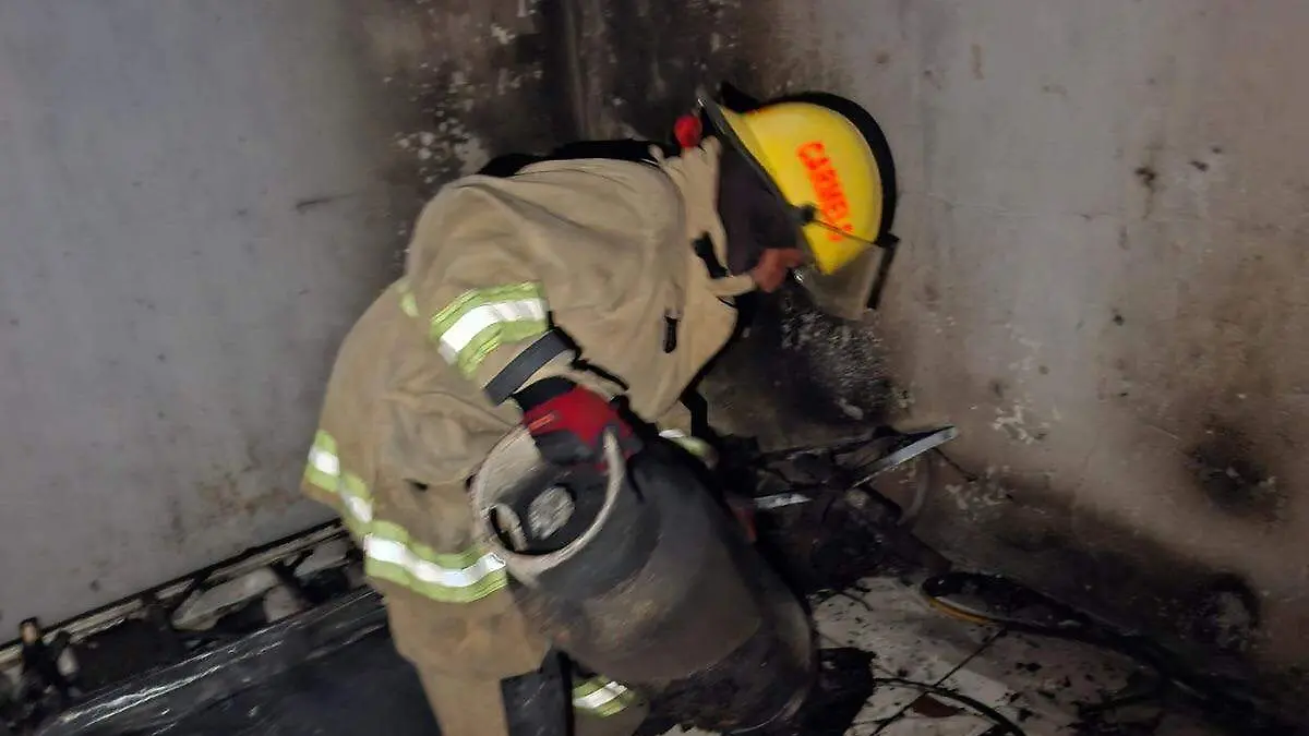 WhatsApp Image 2026-03-16 at 7.47.16 PM