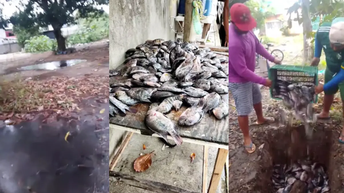 Captura de pantalla 2026-03-18 a la(s) 20.35.19